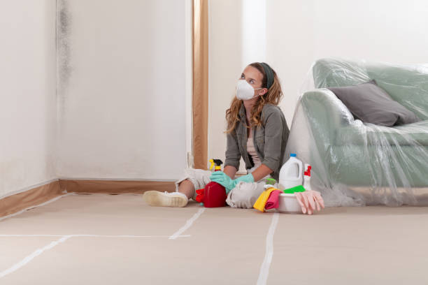 Reliable Mold Cleanup contractor in Shrewsbury, NJ by Cheap Mold Removal